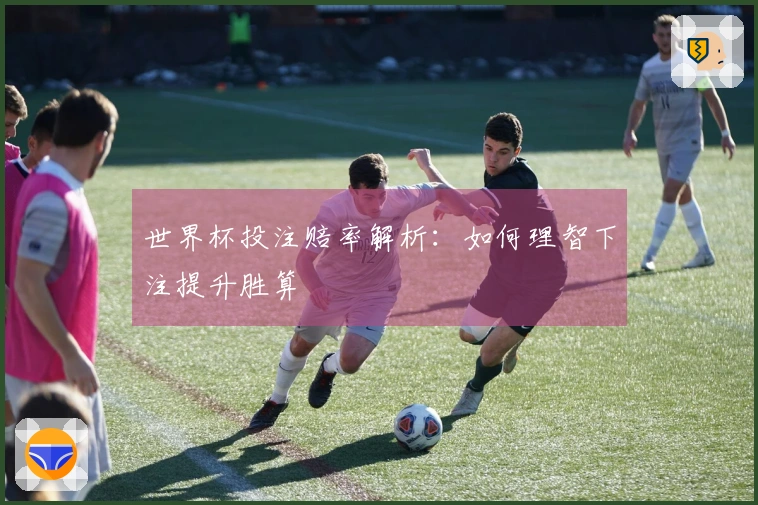 世界杯投注赔率解析：如何理智下注提升胜算