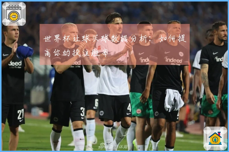 世界杯让球买球数据分析：如何提高你的投注胜率
