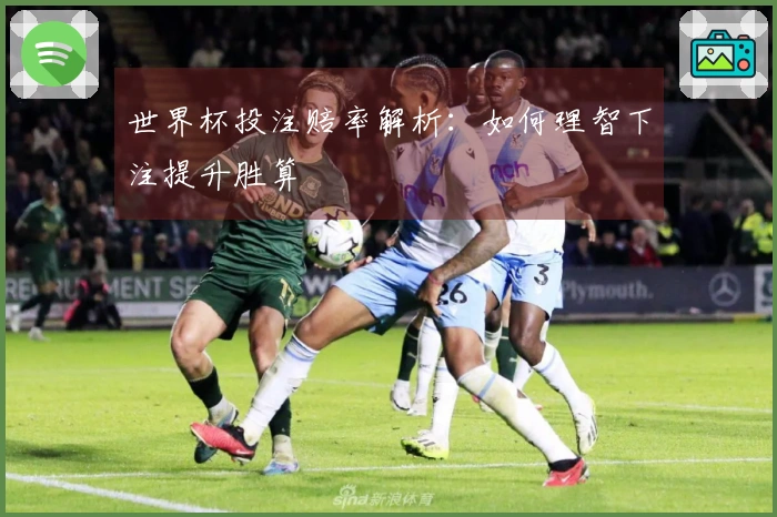 世界杯投注赔率解析：如何理智下注提升胜算