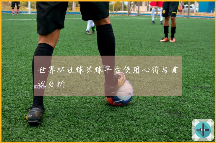 世界杯让球买球平台使用心得与建议分析